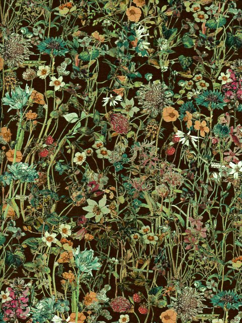 樂天商城 - 生地LIBERTY FABRICS 363425-DXグリーンリバティプリントWild Flowers（ワイルド・フラワーズ）国産エターナル柄