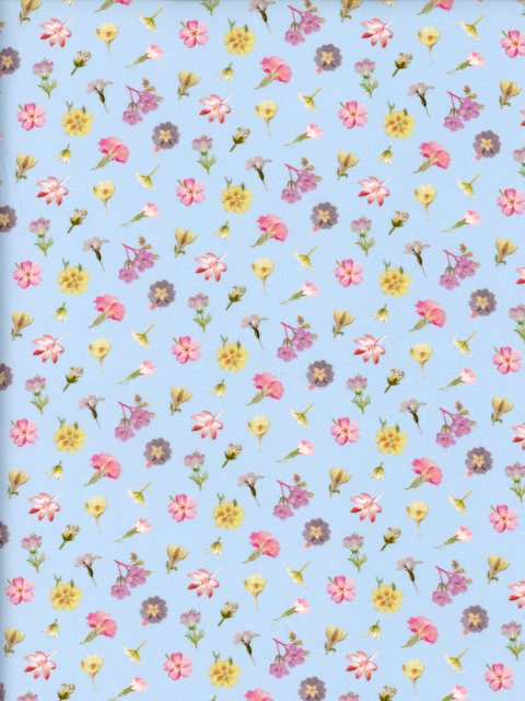 樂天商城 - 生地LIBERTY FABRICS LIBERTYイタリア製オーガニックタナローン生地Devonshire Flowers(デヴォンシャー・フラワーズ)ブルー2026年春夏柄157J75902-26BU