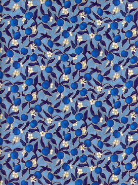 LIBERTYリバティプリントLemon Grove(レモン・グローブ)国産2019年秋冬柄36392019BTブルー