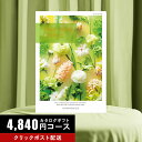 ★カタログギフト ポイント5倍★ 送料無料 カタログギフト テイク・ユア・チョイス チューリップ 4840円コース 【出産内祝い 結婚式 法事引き出物 結婚内祝い 快気祝い お返し 香典返し お中元 お歳暮 お年賀】【楽ギフ_包装選択】【楽ギフ_のし宛書