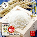 ★エントリーでP10倍★令和7年度産 新米 白米 米 2kg 5kg 10kg 5kg×2 茨城県産 コシヒカリ 黄門米 令和7年産 タツミ米穀 【茨城県 常陸太田市 銘柄米 出産内祝い 結婚式 法事引き出物 結婚内祝い 快気祝い 母の日 父の日 お中元 お歳暮 お年賀】