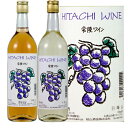 【お歳暮 お年賀】【茨城】 檜山酒造 常陸ワイン 2本セット ロゼ (赤) 360ml 巨峰 (白) 360ml 【出産内祝い】【結婚式】【結婚内祝い】【快気祝い】【お返し】【香典返し】【楽ギフ_包装選択】【楽ギフ_のし宛書】【お中元】【お歳暮】【お年賀】