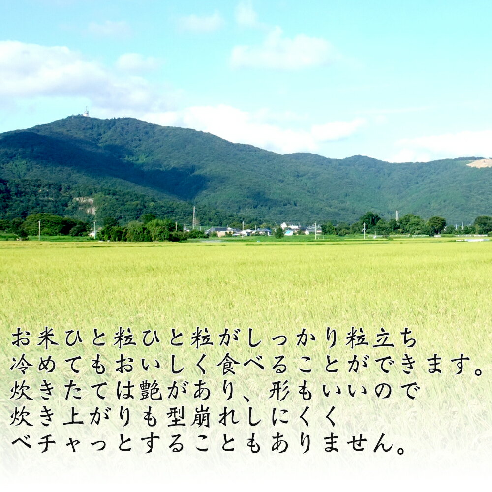 【国産　山形県産】山形県産　はえぬき　　5kg　白米　米　ごはん　はえぬき　【産地直送】