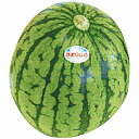 【送料無料】【お中元】 丸松青果 いずみ会の山形県産 尾花沢小玉すいか 1玉 13093121 【ギフト】【産地直送】【夏】【贈答品】