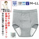 【楽天1位】 尿漏れパンツ 男性用 100cc 綿100% M L LL 大失禁 ブリーフ 失禁パンツ 尿漏れ防止パンツ 失禁対策パンツ 介護下着 介護パンツ ...