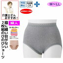 ショーツ ストレッチ丈長ショーツ 2枚組 M L LL 2枚組 レディース 婦人 用