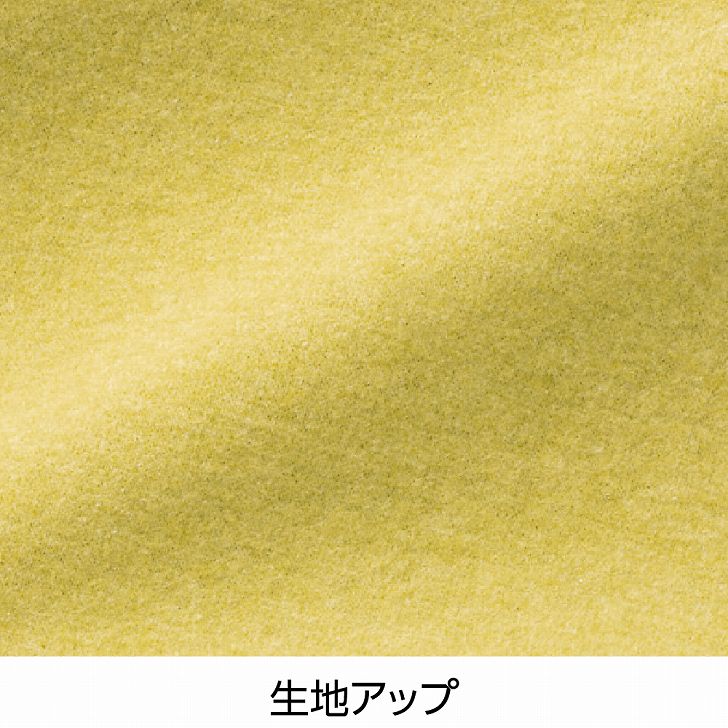 Tシャツ 起毛 シニアファッション 60代 70代 80代 レディース 秋冬 あたたかい おしゃれ かわいい 日本製 身幅ゆったり のびのび M L LL シニア 服 高齢者 女性 90代 普段着 部屋着 ホームウェア おしゃれ着 外出着 婦人 用 monet1-10005063 介護用品とシニアのお店 モネ サンプル画像3