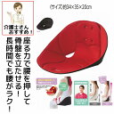 コシオスプレミアム 美姿勢座 椅子 ニーズ 骨盤座椅子 腰痛座椅子 cosios PREMIUM 骨盤矯正クッション ボードクッション 骨盤矯正 椅子 イス S...