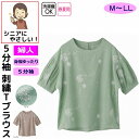 ブラウス 5分袖 ボタン 刺繍Tブラウス シニアファッション レディース 80代 春 夏 涼しい おしゃれ かわいい M L LL 8分袖 身幅ゆったり 高齢者...