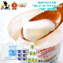 ヨーグルト ギフト ヨーグルト菌【 めんこいヨーグルトセット 冷蔵 】ゆめヨーグルト85g ×6個 のむヨーグルト150ml ×6本「 送料無料 スイーツ 詰め...