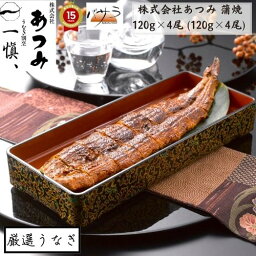 うなぎ ギフト 新鮮で上質な鰻 【 うなぎ割烹 一愼 】 蒲焼120g×4尾 (120g×4尾) タレ付 「 ウナギ 鰻 国産うなぎ かば焼き うなぎ蒲焼 鰻蒲焼き お取り寄せ 国産 かば焼き うなぎの蒲焼き お取り寄せグルメ 冷凍 贈り物 ギフト 内祝 御祝 プレゼント 」