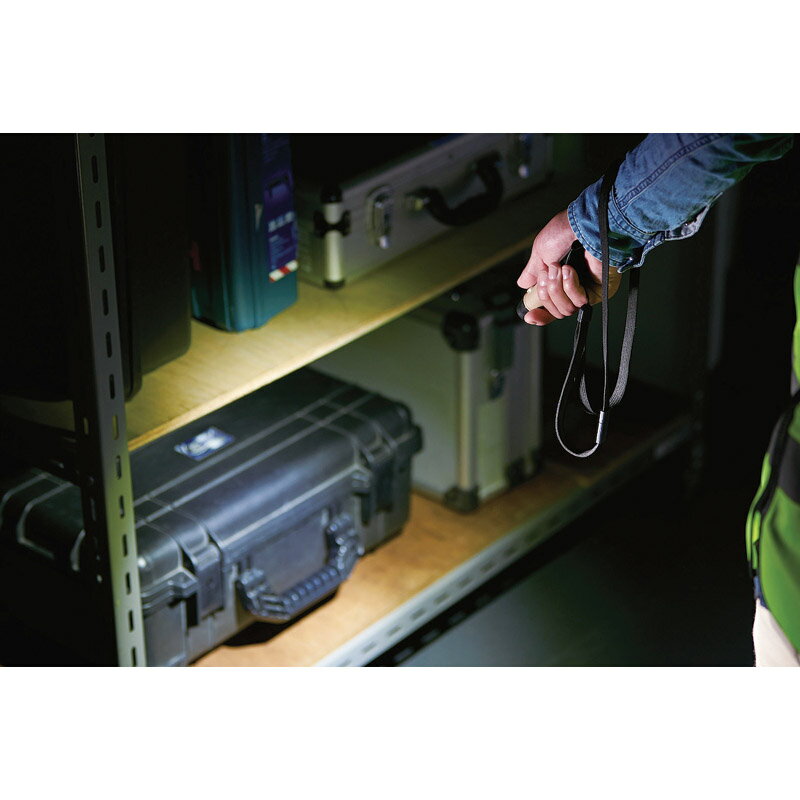 防災 乾電池式懐中電灯 笛タイプ 「 内祝い お歳暮 御歳暮 出産内祝い ギフト 内祝い 出産内祝 内祝 出産祝い 贈答品 お誕生日 お返し ギフト対応 ラッピング 母の日 」