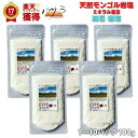 【 モンゴル岩塩 細目 サラサラ 岩塩 100g 】【 大阪 関西万博 パッケージ 】 添加物なし 天然岩塩 送料無料 6個までメール便 「 粉末 岩塩 塩 無添加 スパイス 清め 清め塩 浄化 ミネラル 血圧 健康 お塩 天然塩 自然塩 高級 食用 料理 ソルト しお ギフト プレゼント 」