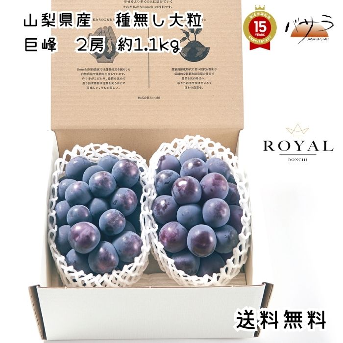 【 送料無料 】早割り ⼭梨県産 【 種無し大粒 巨峰 2房 約1.1kg (2~5名様向け)】「 巨峰 サマーギフト お中元 夏ギフト 贈答用 スイーツ 御中元 葡萄 ぶどう ブドウ プレゼント 御礼 御祝 御供 果物 大粒 くだもの フルーツ お見舞い 暑中見舞い 」