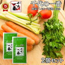 【2個セット】 出汁パック だしパック 送料無料 【 千代の一番 野菜ブイヨン 香澄 10包入(5.0g×10包) 】【ベジタリアン対応】 出汁 パック 粉末 無添加 「 野菜 出汁 ギフト お中元 家庭用 離乳食 粉末だし 国産 飲むだし 飲む出汁 ダシ だし 無添加 出汁 」 【正規品】