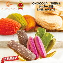洋菓子 焼き菓子 ギフト 【 クッキー 2種 セット 抹茶 モザイク 】【 ショコラティエーム 】「 可愛い お取り寄せ 洋菓子 かわいい 送料無料 お菓子 洋菓子 おしゃれ お返し プレゼント 食べ物 スイーツ 誕生日 結婚祝い 出産祝い 退職祝い 」