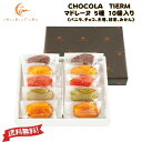 洋菓子 焼き菓子 ギフト 【 マドレーヌ 10個入り セット バニラ チョコ 木苺 抹茶 みかん 各2個 】【 ショコラティエーム 】「 可愛い 洋菓子 かわい...