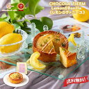 ショコラティエーム 【 Lemon & Banille レモン&ヴァニーユ 】【 一流ホテルで販売中 】「 可愛い 洋菓子 かわいい 送料無料 お菓子 洋菓子 おしゃれ 美味しい お返し プレゼント スイーツ 焼き菓子 誕生日 結婚祝い 出産祝い 」