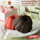 洋菓子 焼き菓子 ギフト 【 Voyage-ヴォヤージュ 2個入り ショコラ フランポワーズ 】【 ショコラティエーム 】「 可愛い 洋菓子 かわいい 送料無料...