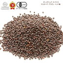 オーガニック マスタード ブラウン 500g リトアニア産【 送料無料 】「 スパイス スパイスセット スパイスカレー おしゃれ 調味料 キャンプ 手作り料理 ...