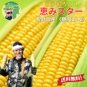 【 2026年度収穫 予約販売 】 産地直送 【 長野県産 恵みスター とうもろこし 5本~30本 】1本350g前後《 糖度18.2度 》フルーツより甘い 「 朝採 恵味 生トウモロコシ 送料無料 トウモロコシ スイートコーン 敬老の日 ギフト 贈り物 お祝い プレゼント グルメ お取り寄せ 」