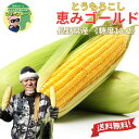 【 2026年度収穫 予約販売 】 産地直送 【 長野県産 恵み ゴールド 5本~30本 1本350g前後 】《 糖度18.2度 》フルーツより甘い! 「 朝採 恵味 生トウモロコシ 送料無料 トウモロコシ スイートコーン 残暑見舞い 敬老の日 ギフト 贈り物 お祝い プレゼント お取り寄せ 」