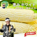 【 2026年度収穫 予約販売 】 産地直送 【 長野県産 恵み ホワイト とうもろこし 5本~30本 1本 350g前後 】《 糖度18.2度 》フルーツより甘い 「 朝採 恵味 生トウモロコシ トウモロコシ スイートコーン 敬老の日 ギフト 贈り物 プレゼント グルメ 送料無料 お取り寄せ 」