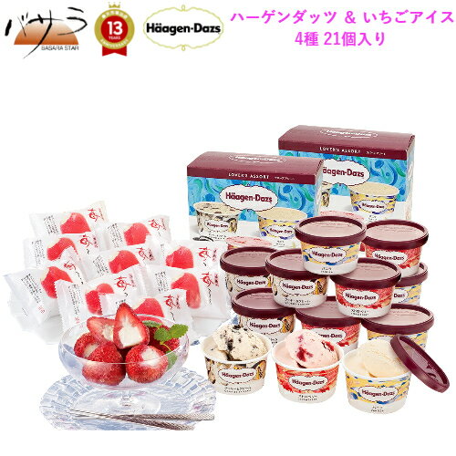 ハーゲンダッツ 【 ハーゲンダッツ ＆ いちごアイス 4種 21個入り 】「 おやつ アイス チョコレート ショコラ いちご プチギフト ギフト 送料無料 個包装 スイーツ お中元 贈り物 人気 高級 お取り寄せ グルメ 詰め合わせ セット お菓子おかし有名 お返し 」