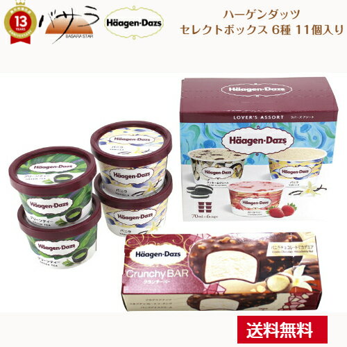 ハーゲンダッツ アイスクリーム ハーゲンダッツ 【 ハーゲンダッツ セレクトボックス 6種 11個入り 】「 おやつ アイス チョコレート ショコラ いちご プチギフト ギフト 送料無料 個包装 スイーツ 父の日 贈り物 人気 高級 お取り寄せ グルメ 詰め合わせ セット お菓子 おかし有名 お返し 」