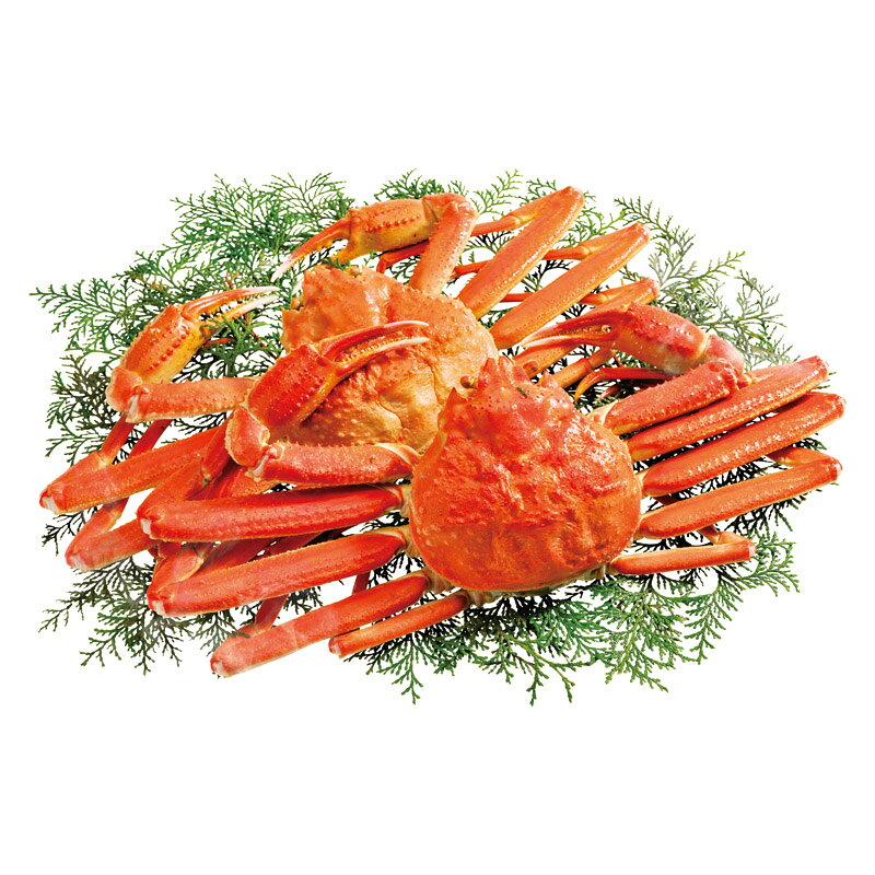 PRODUCT SPECIFICATIONS商品仕様商品名ずわい蟹2杯型番KMJ2605セット内容ずわい蟹(カナダまたはアメリカまたはロシアまたは国産)(500g)×2賞味期間冷凍3ヶ月アレルゲンかに商品説明繊細で甘みが特徴のずわい蟹。鮮度バツグン! 殻の下にぎっしりと詰った、プリプリでジューシーな身を存分にお楽しみください。