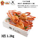 マルヤ水産【 訳あり 茹姿香住ガニ 3匹 1.2kg 】 冷蔵 送料無料 蟹 カニ ギフト 蟹 味噌 カニ 蟹爪 ボイル 父の日 かに ズワイガニ お取り寄せグルメ 天ぷら 紅ズワイガニ 蟹しゃぶ 御中元 内…