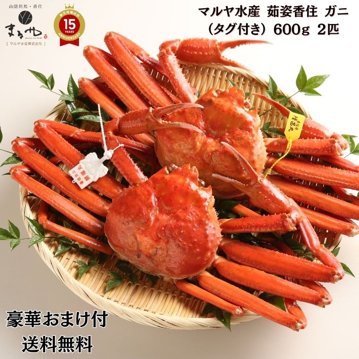 豪華おまけが選べる! マルヤ水産【 茹姿香住 ガニ (タグ付き) 600gx2杯 】(冷凍) プロトン凍結 「 冷凍 送料無料 香住 蟹 カニ かにみそ カニ ...