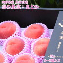 9月上旬発送【 真の果実 まどか 桃 贈答 2kg ~ 】 6~12個入り 「 桃 もも モモ 果物 白桃 山形 送料無料 甘い お取り寄せ グルメ 父の日 お中元 川中島 完熟 高級 家庭用 ギフト 夏ギフト フルーツ 産地直送 訳アリ 」