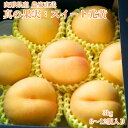 9月上旬発送【 ギフト 贈り物 】早割り 【 スイート光黄 贈答 】3kg 8~12個入り 「 桃 もも モモ 果物 白桃 山形 送料無料 甘い お取り寄せ グルメ 父の日 お中元 川中島 完熟 高級 家庭用 ギフト 夏ギフト フルーツ 産地直送 」