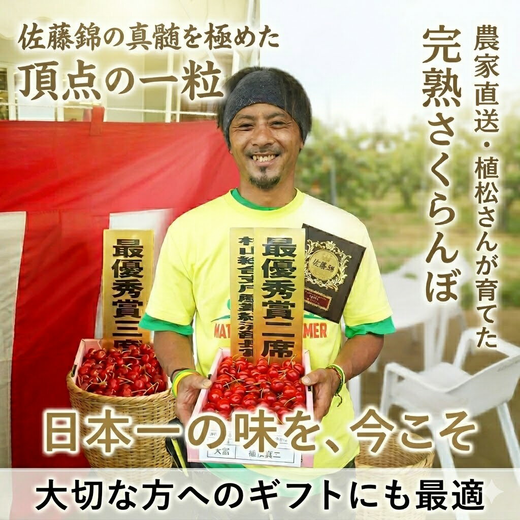 6月中旬発送 ギフト プレゼント 贈り物 【 さくらんぼ 佐藤錦 】【 訳アリ 】 M～2...
