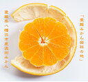 【 2025年度11月予約販売 】 早生(わせ) みかん 10kg 3S~2S サイズ (愛媛県八幡浜市産) 産地直送 「 愛媛県産 父の日 お中元 愛媛みかん 蜜柑 ミカン 温州みかん 果物 小粒 小玉 甘い フルーツ ご家庭用 果物 ミカン柑橘類 かんきつ おやつ デザート 青果 」(4)