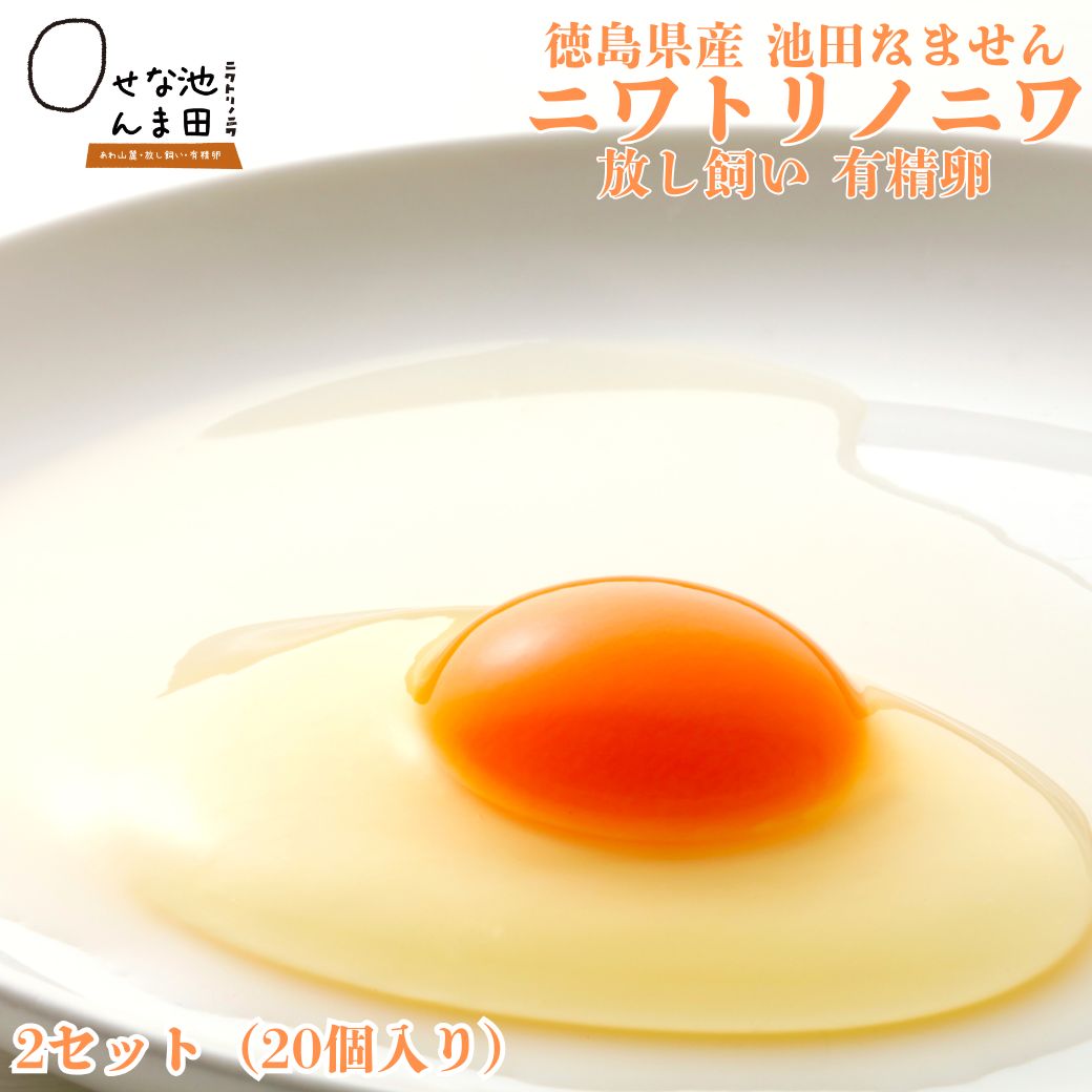 【 徳島県産 池田なません 】 ニワトリノニワ 有精卵 生たまご 2パック(20個入り)「 送料無料 」【 たまごかけご飯 が最高 】「 ギフト 高級卵 有精卵 マヨネーズ 新鮮 濃厚 卵焼き たまご 生卵 生卵新装版 生たまご ゆでたまご 玉子 家庭用 鶏卵 」