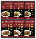 飛騨高山ファクトリー 松阪牛・近江牛・飛騨牛仕込みハンバーグ&カレー詰合せ 6個セット 「 2025 ギフト 内祝い 引き出物 出産内祝い 快気祝い 香典返し ...