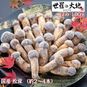 つぼみ 約100g(約2〜4本) 「 松茸 送料無料 国産 松茸ごはん マツタケ まつたけ まつたけごはん 冷凍 きのこ キノコ ご飯のお供 ギフト 引き出物 ...