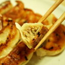 厳選【 ギフト】横浜 餃子 ぎょうざ 20個 箱入り【送料無料】生餃子 もちもち 中華 点心 学園祭 文化祭 屋台 業務用 ぎょうざ ギョーザ..