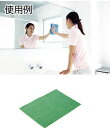 テラモト FXマイクロ抗菌クロス 300×400mm グリーン