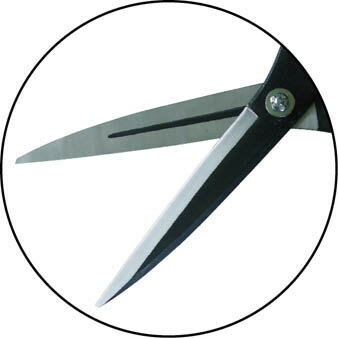 ˭̭�������������ա�������