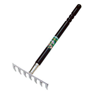 �й���°�����ǥ�졼��