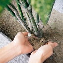 高森コーキ園芸・農作業用肌キープ 200g