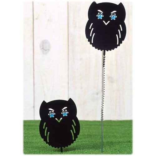 樂天商城 - グラグラふくろう