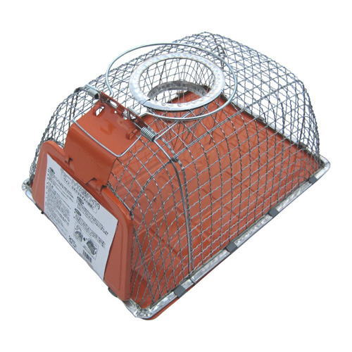 ���塼���ϥ������ʥ磻�ɡ�