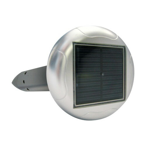 �����顼������ߥ⥰���ɽ���