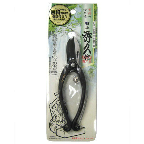 �㶹������������B�����ӥ�˷���ˡ�165mm