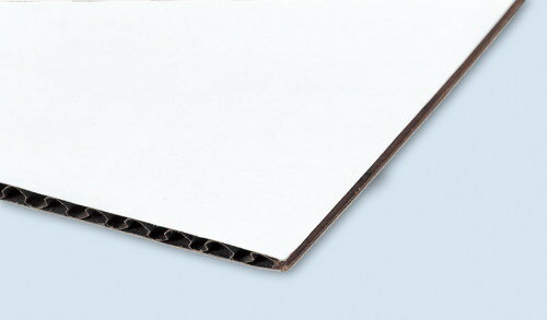 �������ʥܡ����10���ȡ�