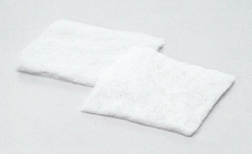 �ʡ�20����